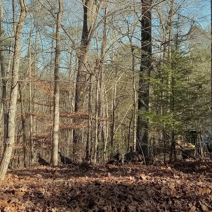 Woodring Campground Carters Lake Picture 8