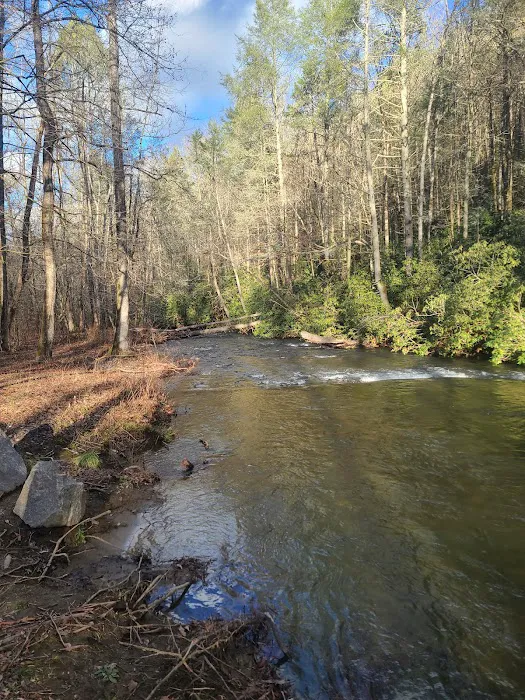 Tumbling Creek Campground Picture 3