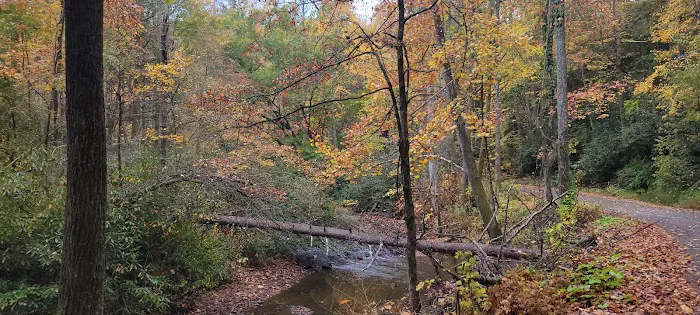 Tumbling Creek Campground Picture 7