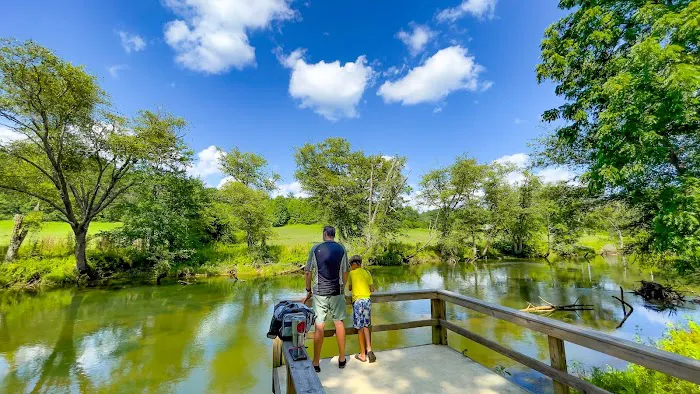 Blue Ridge / Toccoa River KOA Holiday Picture 4