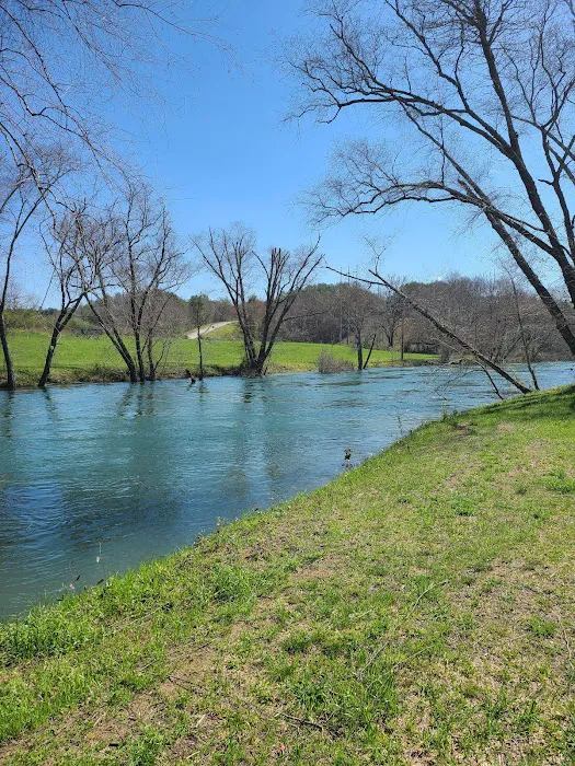 Blue Ridge / Toccoa River KOA Holiday Picture 8