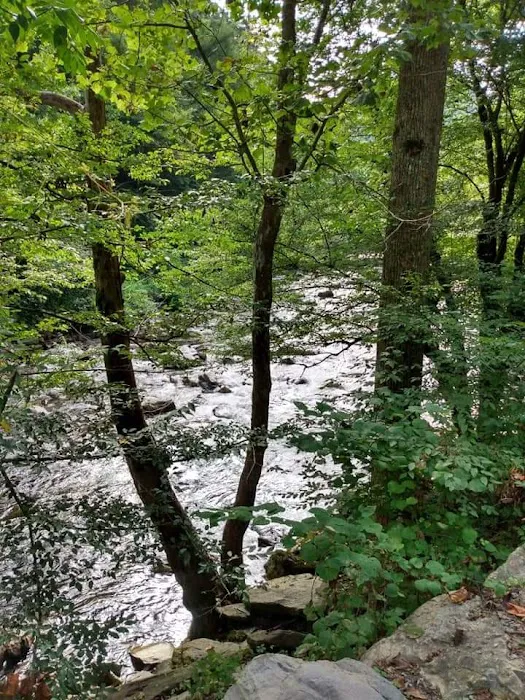 2 Rivers RV Park Picture 4