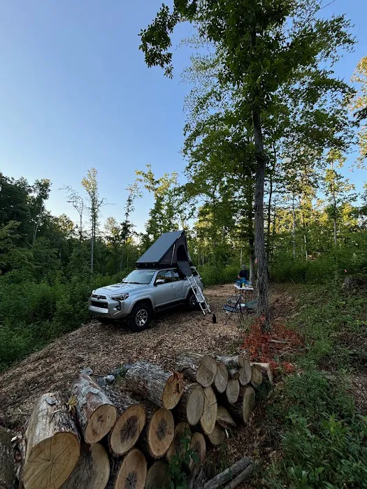 Overland Camping Picture 5