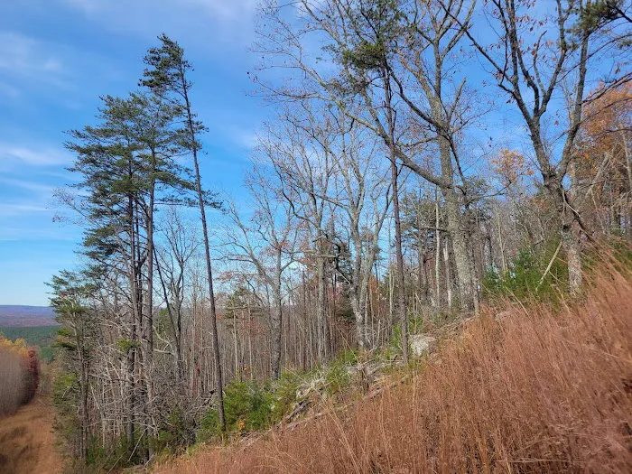 Camp Chet (Reservations required) Picture 6