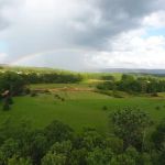Jaceland