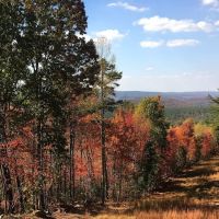 Outpost RV and Tent Sites at Camp Chet (Reservations required) ico