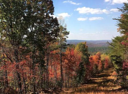 Outpost RV and Tent Sites at Camp Chet (Reservations required)