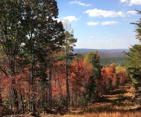 Outpost RV and Tent Sites at Camp Chet (Reservations required)