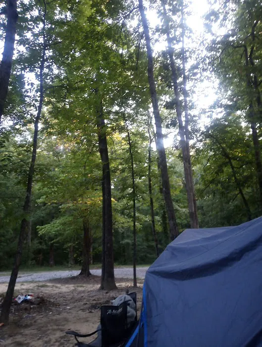 Hunter check station campground Picture 2