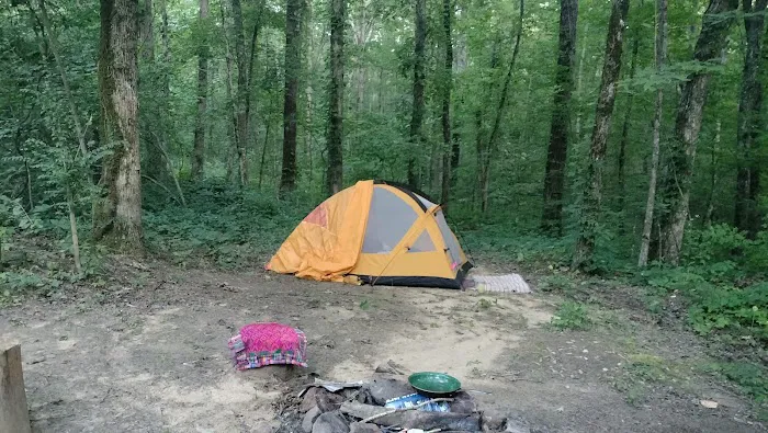Hunter check station campground Picture 9