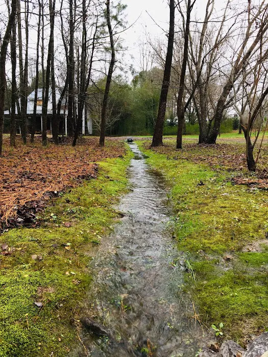 tiny HOUSE CAMPGROUND Picture 5