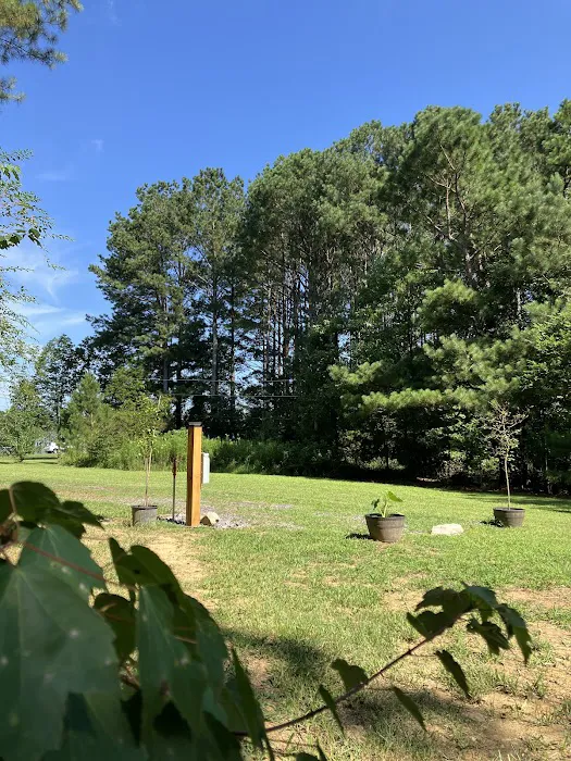 tiny PINECONE CAMP Picture 2