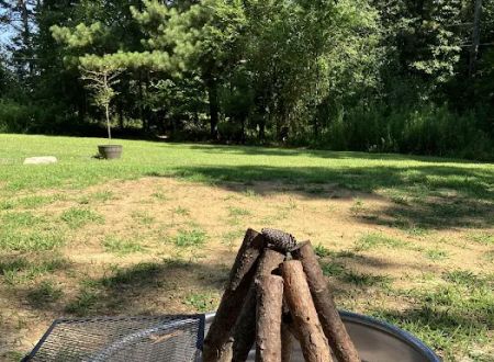 tiny PINECONE CAMP