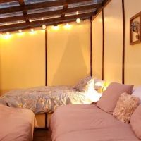 Sassy Springs Retreat ico