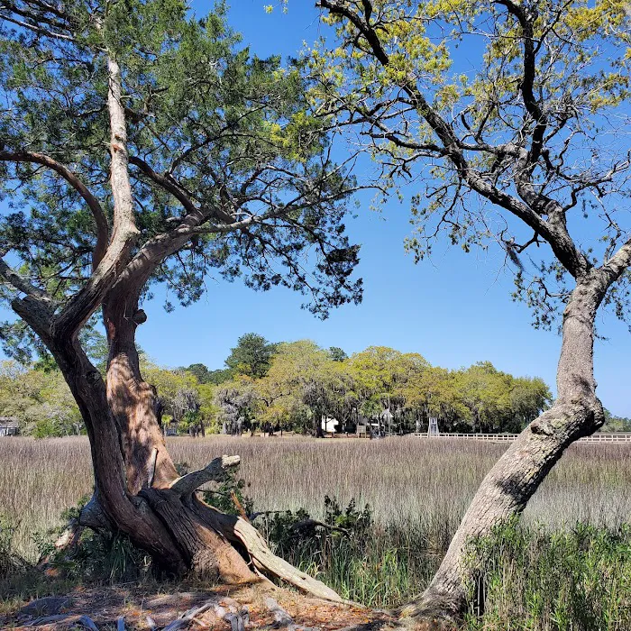 Belle Bluff Island Campground and Marina Picture 6