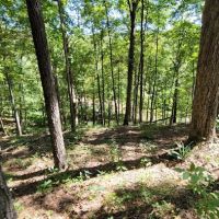 TK Ranch Campground ico