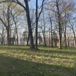 Steamboat Hill Campground