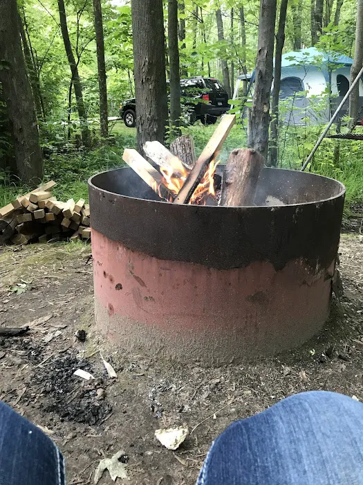Maple Bay State Forest Campground Picture 5
