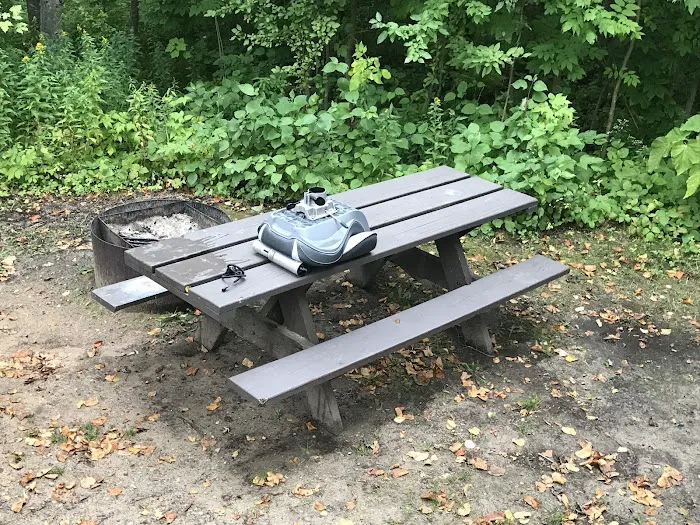 Maple Bay State Forest Campground Picture 9