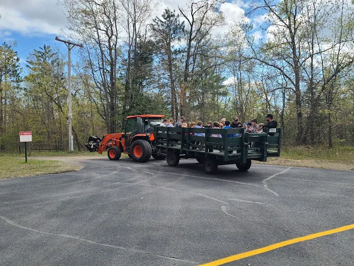 Twin Bears Wooded Campground Now under New Ownership! Picture 6