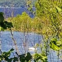 Pigeon Bay Campground ico
