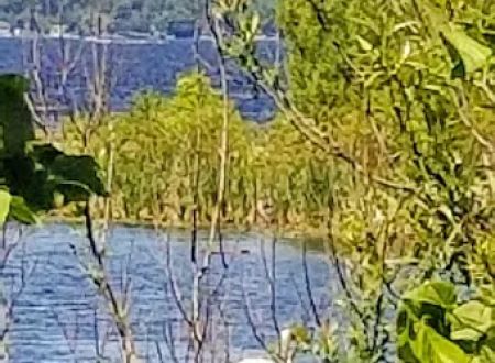 Pigeon Bay Campground