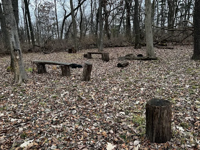 Sherman R Cook Memorial Scout Park (Cook Woods) Picture 2