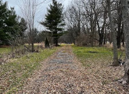 Sherman R Cook Memorial Scout Park (Cook Woods)