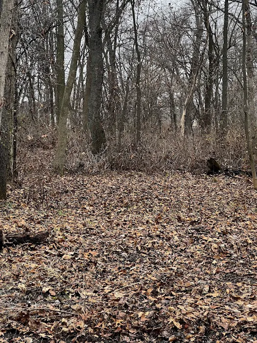 Sherman R Cook Memorial Scout Park (Cook Woods) Picture 5