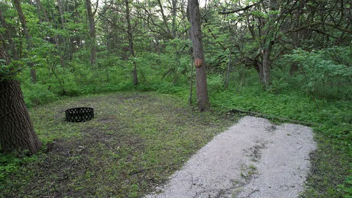 Angel Creek Campground Picture 3