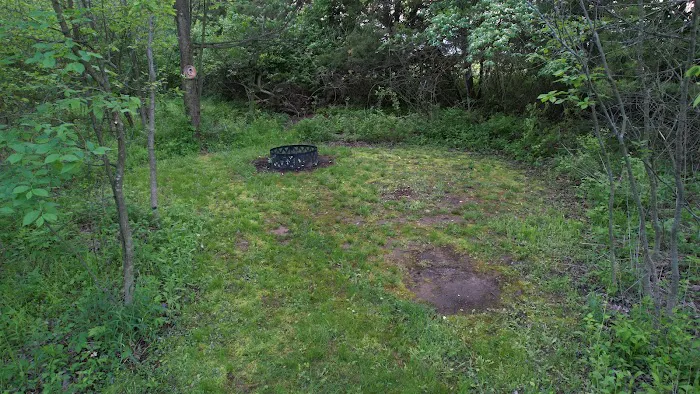 Angel Creek Campground Picture 10