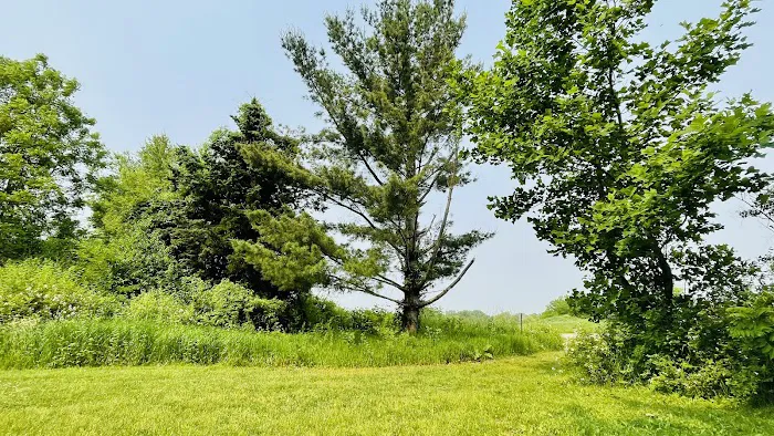 Camp Tomo-Chi-Chi Knolls Picture 6