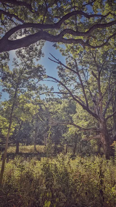 Camp Tomo-Chi-Chi Knolls Picture 8
