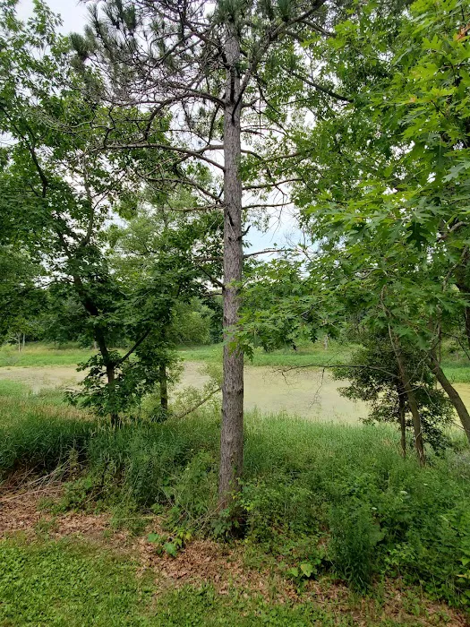 Camp Tomo-Chi-Chi Knolls Picture 9