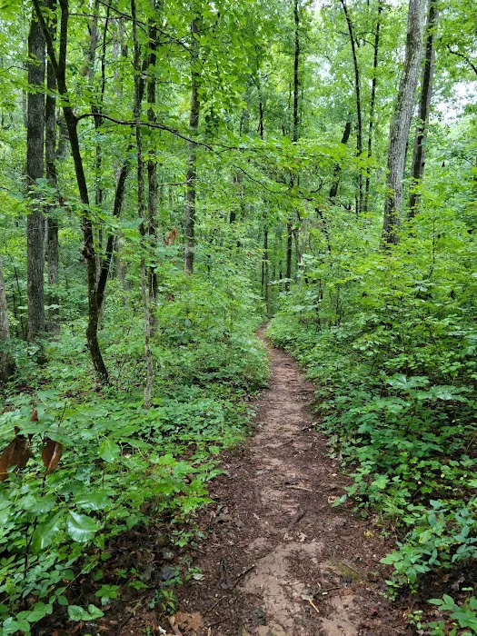 High Falls State Park River Campground Picture 4