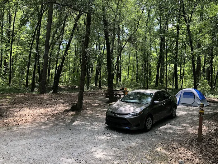 High Falls State Park River Campground Picture 8