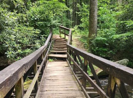 Bear Creek Campground