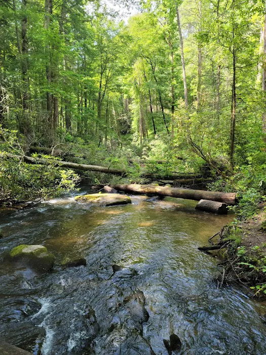 Bear Creek Campground Picture 3