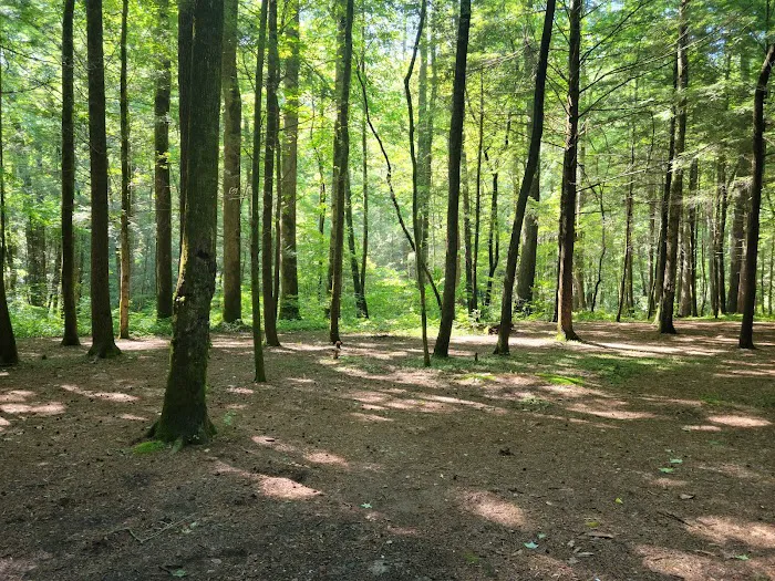 Bear Creek Campground Picture 4