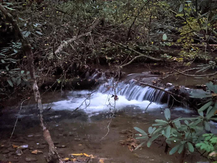 Bear Creek Campground Picture 6