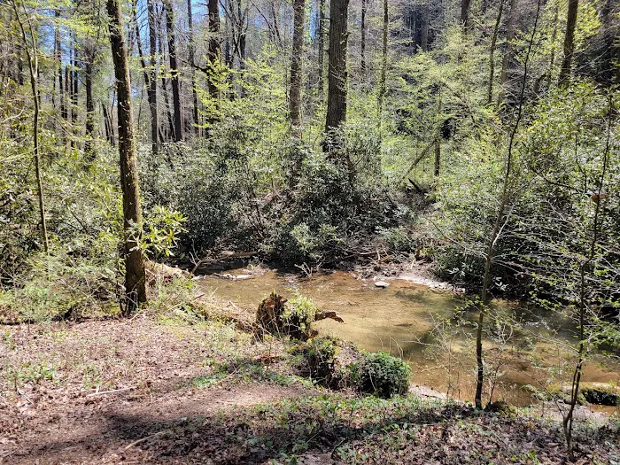 Bear Creek Campground Picture 5