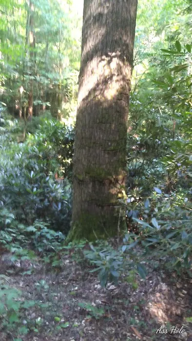 Bear Creek Campground Picture 8