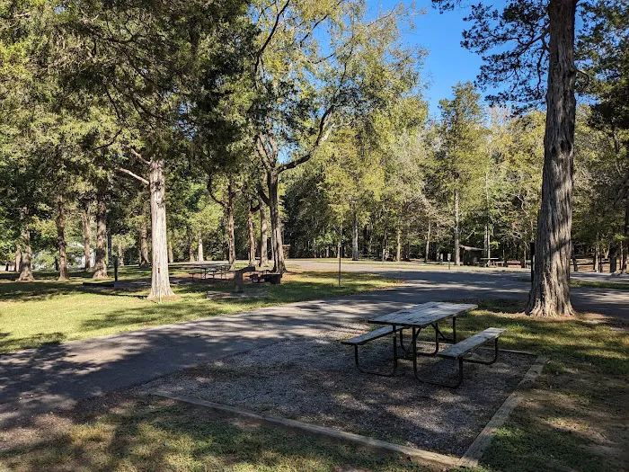 Dixon Springs State Park Campground Picture 3