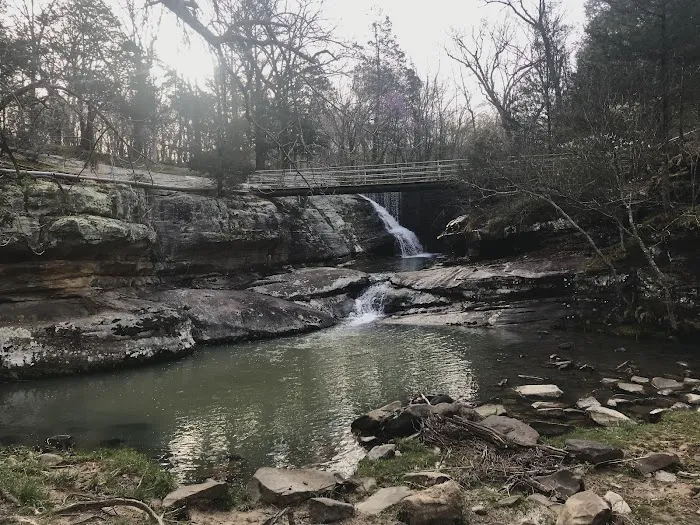 Dixon Springs State Park Campground Picture 8