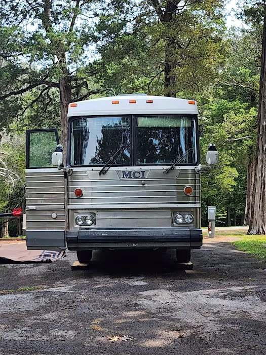 Dixon Springs State Park Campground Picture 10