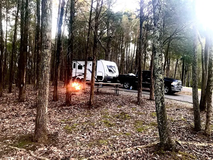 Dixon Springs State Park Campground Picture 9