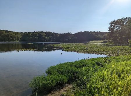 Lake Glendale Recreation Area