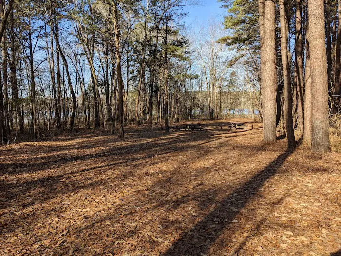 Lake Glendale Recreation Area Picture 5