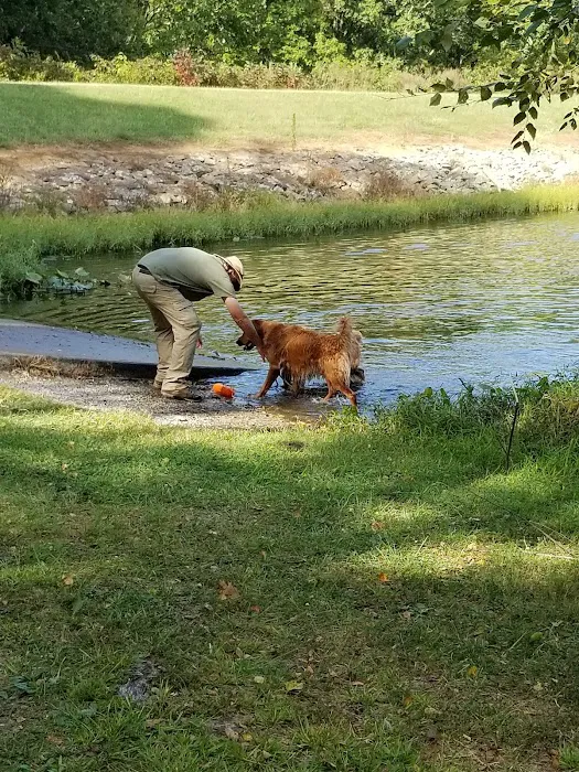 Lake Glendale Recreation Area Picture 4