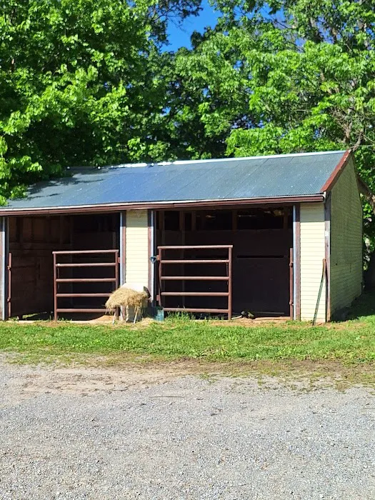 Bay Creek Ranch Campground Picture 5